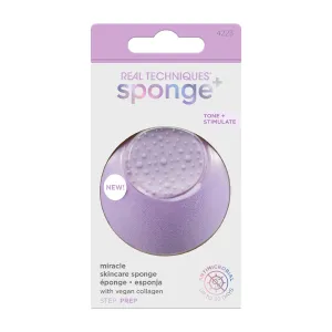 Sponge  Skin Sponge